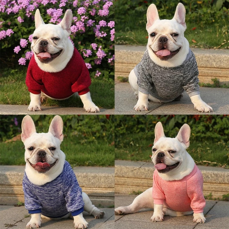 Warm, Polyester Sweatshirt for Dogs