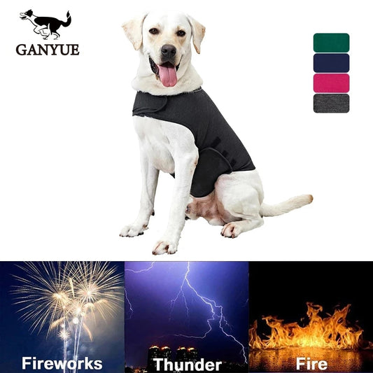 Thunder Vest, Anxiety Jacket for dogs