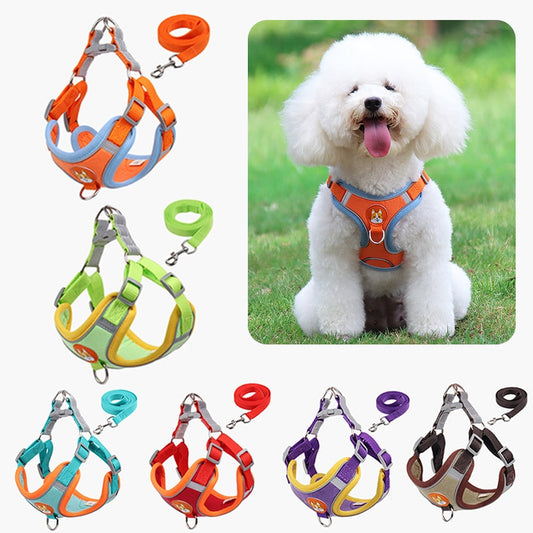 Reflective, Puppy Harness/Leash Set