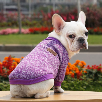 Warm, Polyester Sweatshirt for Dogs