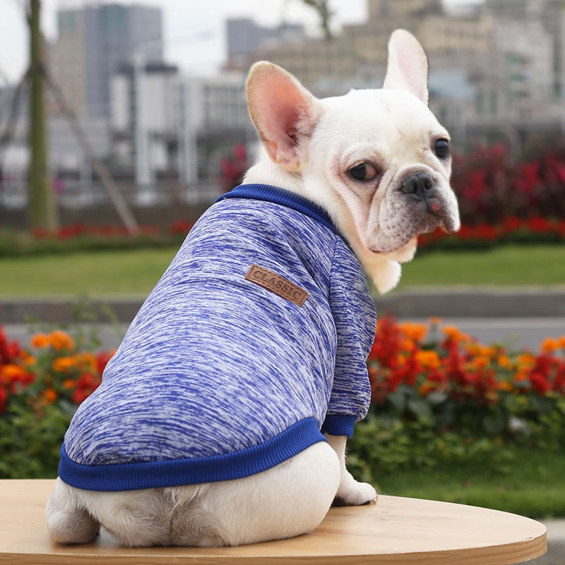 Warm, Polyester Sweatshirt for Dogs