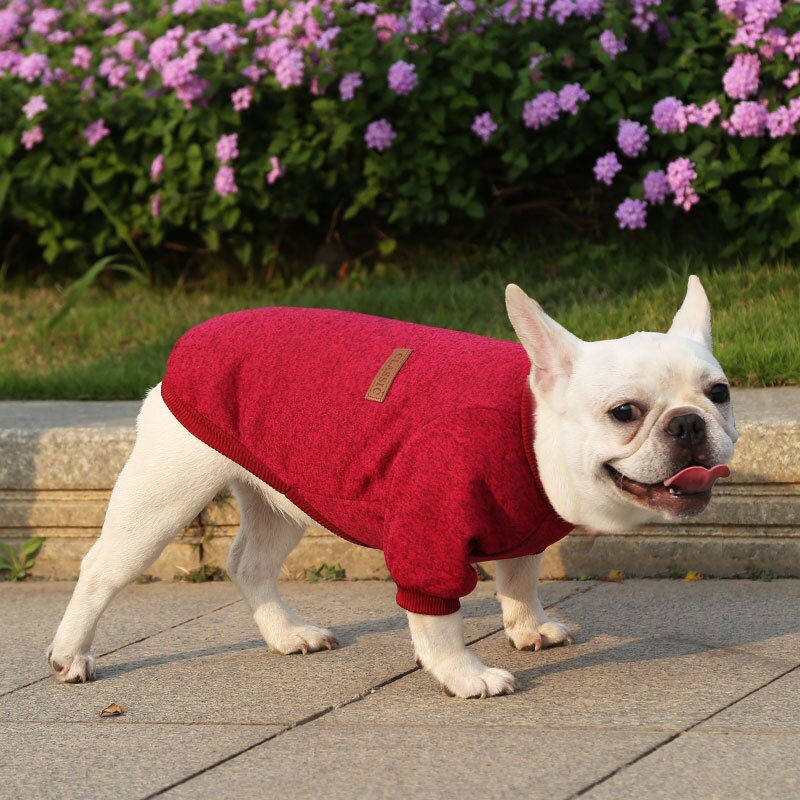 Warm, Polyester Sweatshirt for Dogs